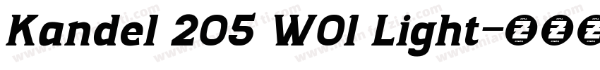 Kandel 205 W01 Light字体转换